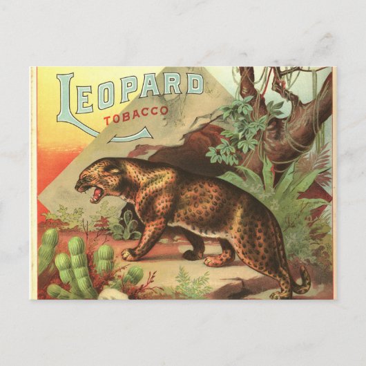 Leopard Tobacco 1900 Briefkaart (Voorkant)