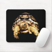 Leopard Tortoise Mousepad Muismat (Met muis)