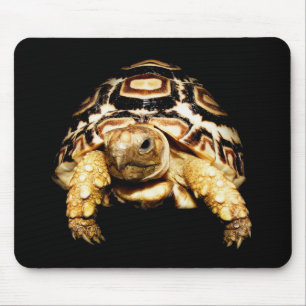 Leopard Tortoise Mousepad Muismat