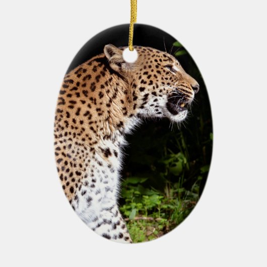 Leopard-vergadering Keramisch Ornament (Voorkant)