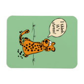 Leopard verliest vlekken - ik denk dat het stress  magneet (Horizontaal)