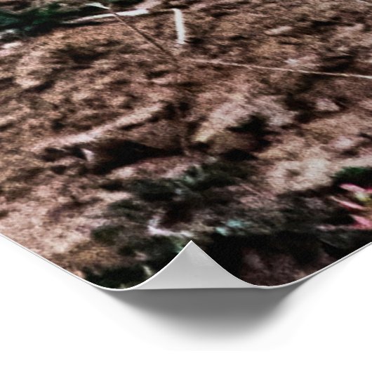 LEOPARD WALKING IN WILD POSTER (Hoek)