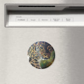 Leopard Walking op Sunset Magneet (Insitu (Vaatwasser))