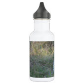 LEOPARD WATERFLES  (Links)