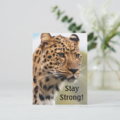 Leopard Wild Cats Briefkaart (Staand voorkant)