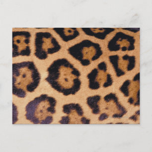 Leopardhuid Briefkaart