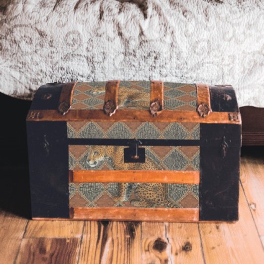  leopardleder slang zwarte ontkoppeling tissuepapier