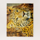 Leopards Big Cats. Jigzaag Puzzle Legpuzzel (Verticaal)