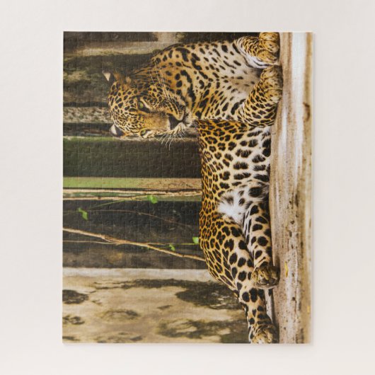 Leopards Big Cats. Legpuzzel (Verticaal)