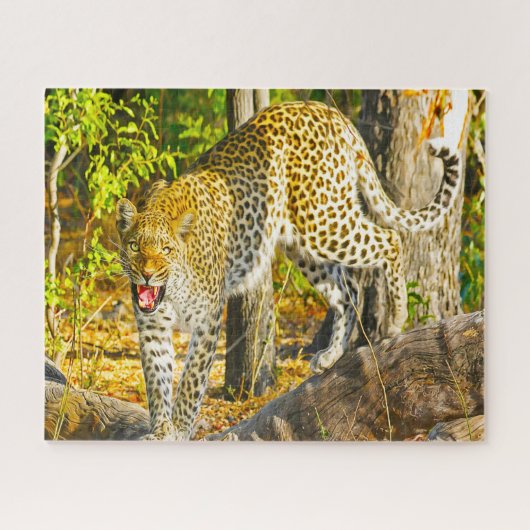 Leopards Big Cats. Legpuzzel (Horizontaal)