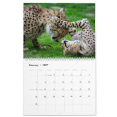 Leopards Calendar Kalender (Feb 2027)