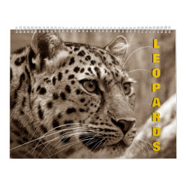 Leopards Calendar Kalender