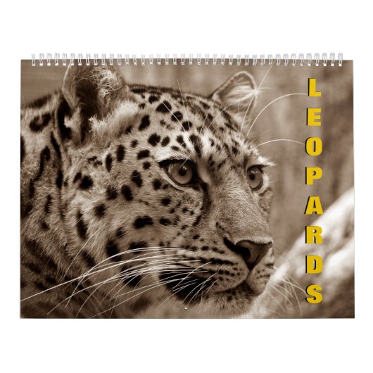 Leopards Calendar Kalender (Hoes)
