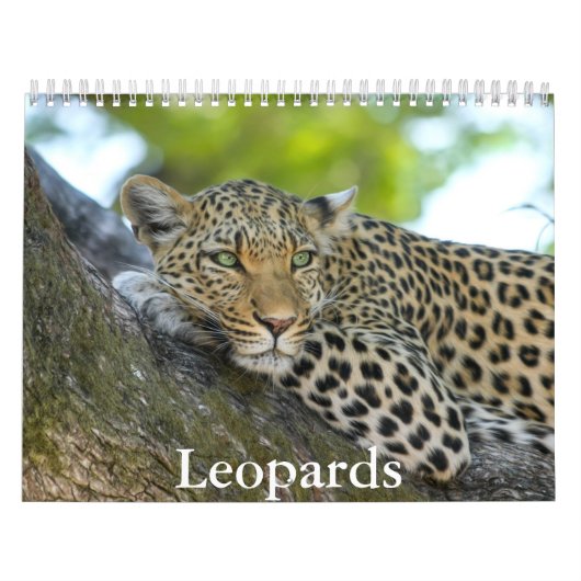Leopards Calendar Kalender (Hoes)