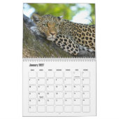 Leopards Calendar Kalender (Jan 2027)