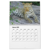 Leopards Calendar Kalender (Feb 2026)
