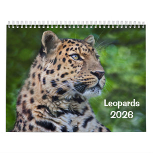 Leopards Calendar Kalender