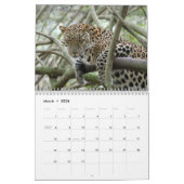 Leopards Calendar, Leopards Kalender (Mar 2026)