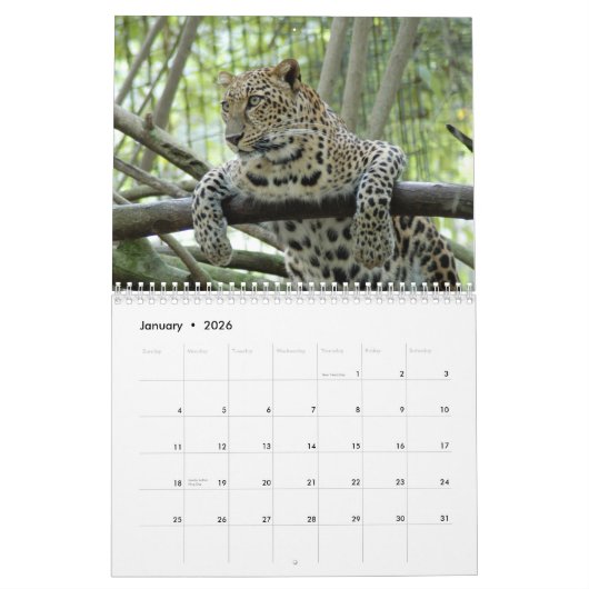 Leopards Calendar, Leopards Kalender (Jan 2026)