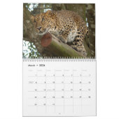 Leopards Calendar, Leopards Kalender (Mar 2026)