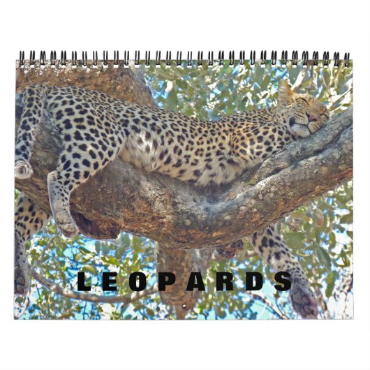 LÉOPARDS - CALENDRIER COMPLET DES LÉOPARDS (Protection)