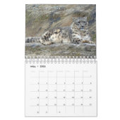 Léopards de neige comme calendrier (Mar 2026)