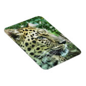 LEOPARDS MAGNEET (Rechterzijde)