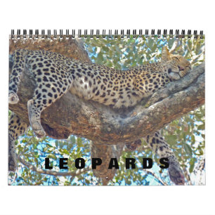 LEOPARDS - TOUS LES CALENDRIERS LEOPARD