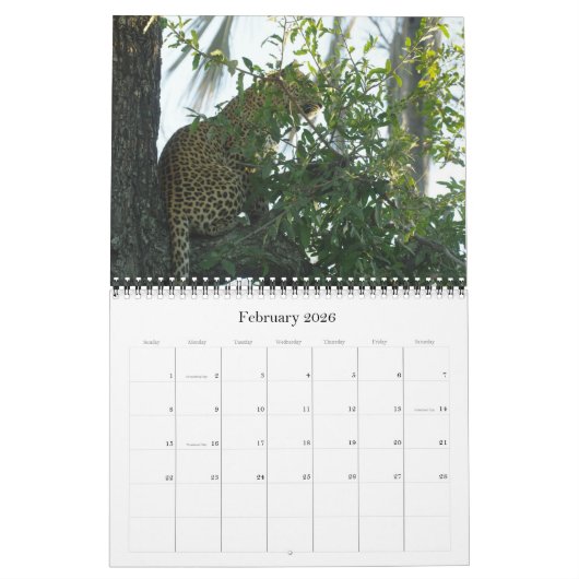 LEOPARDS - TOUS LES CALENDRIERS LEOPARD (Feb 2026)