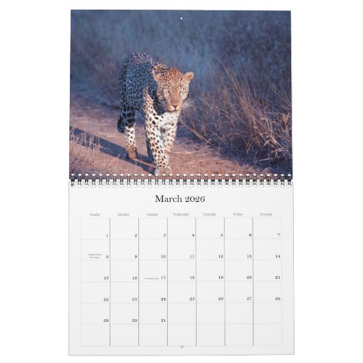 LEOPARDS - TOUS LES CALENDRIERS LEOPARD (Mar 2026)