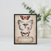 Lepidoptera Briefkaart (Staand voorkant)