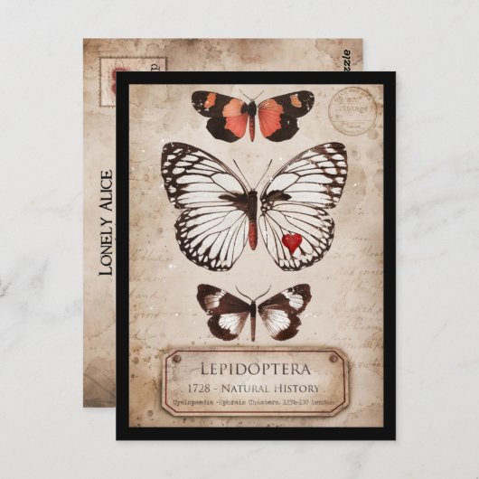 Lepidoptera Briefkaart (Voorkant / Achterkant)