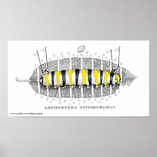 Lepidoptera Pittsburghia-Zazzle, www.zazzle.com... Poster