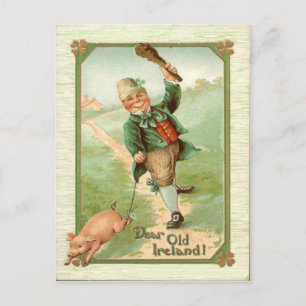  Leprechaun Pig Shillelagh St Patrick's Day Briefkaart
