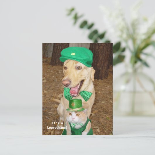 Leprechaun Sighting! Briefkaart (Staand voorkant)