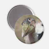 Leptoptilos crumeniferus magneet (Voorkant / Achterkant)