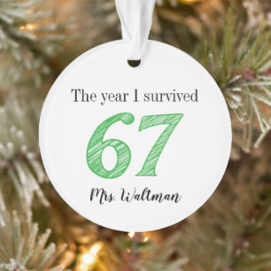 Leraar 67 Grappige Meme Naam Cadeau Ornament