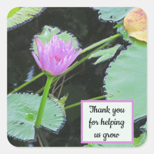 Leraar Appreciezer Roze Water Lily Dank je Vierkante Sticker