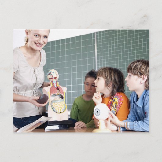 leraar die het model van het menselijk lichaam aan briefkaart (Voorkant)