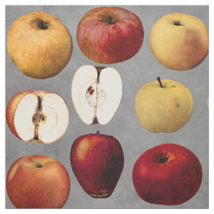 leraar rode gouden appels stof