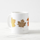 L'érable d'automne laisse la tasse (Devant gauche)