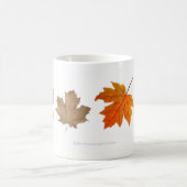 L'érable d'automne laisse la tasse (Centre)
