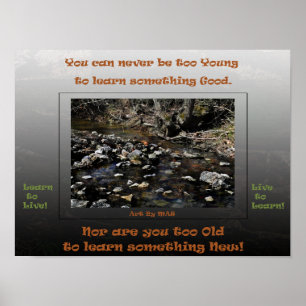 Leren leven om te leren 2 poster