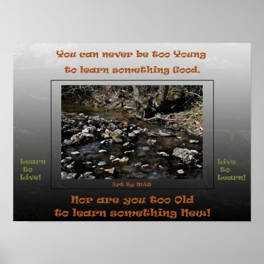 Leren leven om te leren 2 poster (Voorkant)