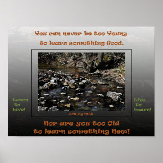 Leren om te Leven Leven om te Leren 2 Poster