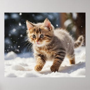 *~* Leren over Sneeuw Kat 5:4 Kitten Cat AP68 Poster