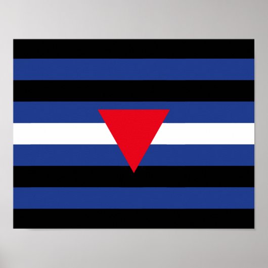 Leren Queer Pride-vlag Poster (Voorkant)