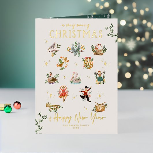 Les 12 jours de Noël | Vacances illustrées (Vacances In Situ 2)