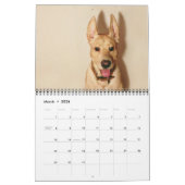 Les 2013 calendriers de "mon Dirk de chien" (Mar 2026)