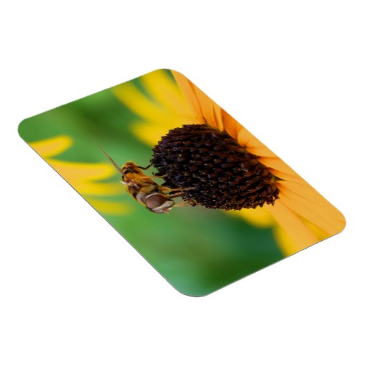 Les abeilles de l'été - Daisy Magnet (Côté Droit)